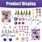140Pcs Pressed Dried Flowers and Leaves Real Natural Dried Flowers - Image 3