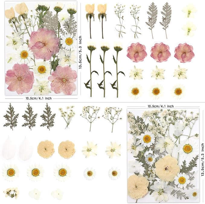 LUXEEASE 80P White Pink Dried Pressed Flowers | Ivory white palette, fits any - Image 3