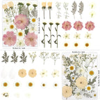 LUXEEASE 80P White Pink Dried Pressed Flowers | Ivory white palette, fits any - Image 3