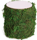 USMOLA Moss Roll, Dried Moss for Crafts, Moss Table Runner for Fairy Gardens by USMOLA