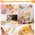 361 Pcs Pressed Dried Flowers - Image 5