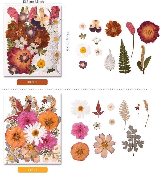 100 PCS Cream Color Pressed Dried Flowers & Leaves | Real Natural Dried Flowers - Image 4