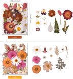 100 PCS Cream Color Pressed Dried Flowers & Leaves | Real Natural Dried Flowers - Image 4