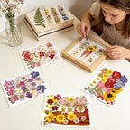 140Pcs Dried Flowers for Crafts, Dried Pressed Flowers for Resin Molds - Image 4