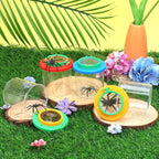 Coopay 4 Pieces Magnifying Insect Box - Image 5
