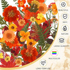 Augshy Fall Dried Pressed Flowers and Leaves - Image 4