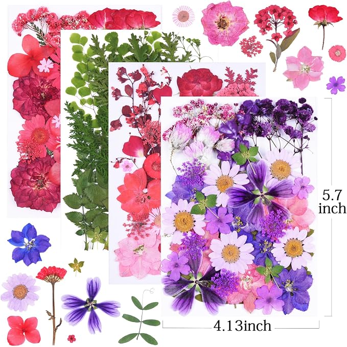 146Pcs Dried Pressed Flowers for Crafts, Xinxinran Dry Flowers Kit for Resin - Image 2