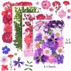 146Pcs Dried Pressed Flowers for Crafts, Xinxinran Dry Flowers Kit for Resin - Image 2