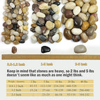 FANTIAN 10 lbs Pebbles for Indoor Plants, 0.8-1.2 inch Mixed Color Polished - Image 3