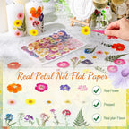96 Pcs Natural Dried Pressed Flowers - Image 3
