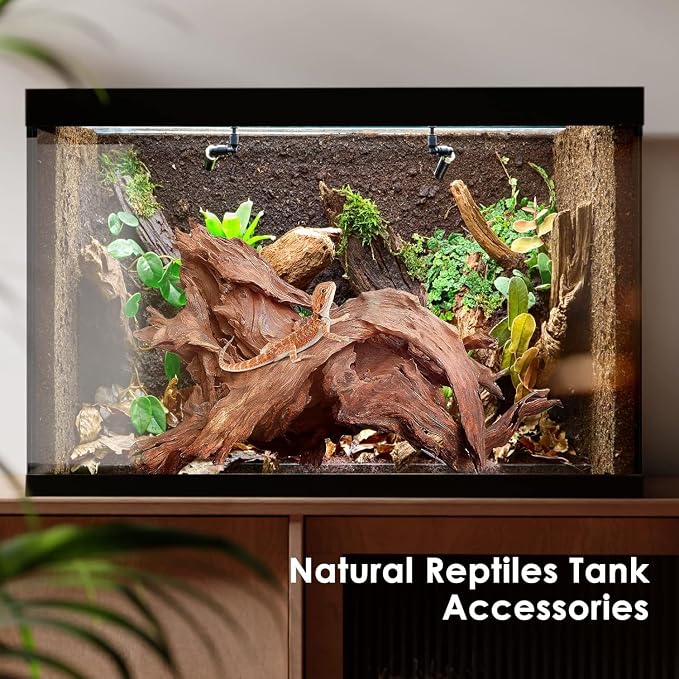 Jorewood Natural Aquarium Driftwood - Image 6