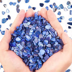 QICQDRAM Crushed Shells for Crafts About 2LB Small Natural Crushed Shells Bulk by QICQDRAM