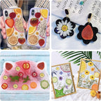 75Pcs Pressed Dried Flowers Fruits - Image 4
