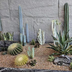 YISZM 10lbs Aquarium Gravel, 1/16" Natural River Rocks Succulent Cactus Pea - Image 5