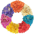 84 Pcs Dried Pressed Flowers for Crafts Resin Art DIY Natural Dry Sandalwood by TopFunny