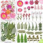 301Pcs Multi-Style Dried Pressed Flowers & Leaves - Image 8