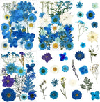 85 Pcs Blue Pressed Dried Flowers by LUCISKY