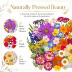 173 pcs Dried Flowers for Resin, Natural Flowers and Leaves Kit - Image 9