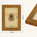 puthiac 5x7 Rustic Farmhouse Picture Frame, Honey Oak, 1 Pack | Distressed MDF - Image 6