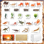 48 Pcs Desert Diorama Kit Habitat Project Box Set 3D Desert Diorama Supplies - Image 3