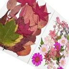 Woohome 91 PCS Natural Dried Pressed Flowers and Leaves - Image 3
