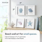 Tide and Tales 3D Seashells & Starfish Coastal Wall Art Decor Beach Wall Decor - Image 2