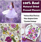 35Pcs Purple Pressed Dried Flowers - Image 2