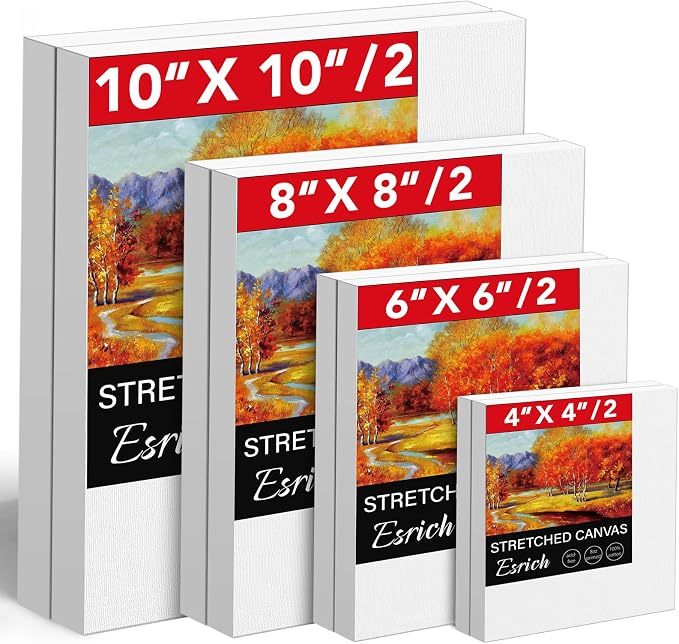 Stretched Canvases for Painting, Acid-Free Wood Frame Blank Canvas, Art Canvas by ESRICH