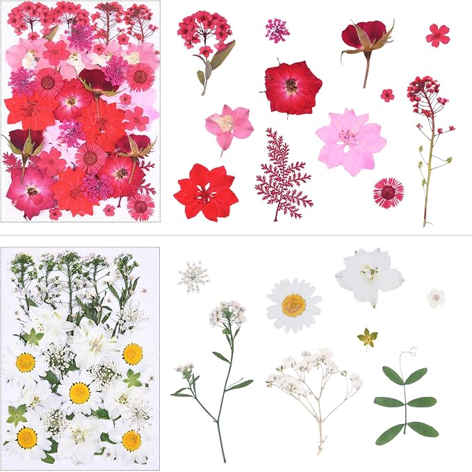 146Pcs Dried Pressed Flowers for Crafts, Xinxinran Dry Flowers Kit for Resin - Image 3