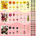 303Pcs Dried Pressed Flowers for Crafts, Dried Pressed Flowers for Resin - Image 4