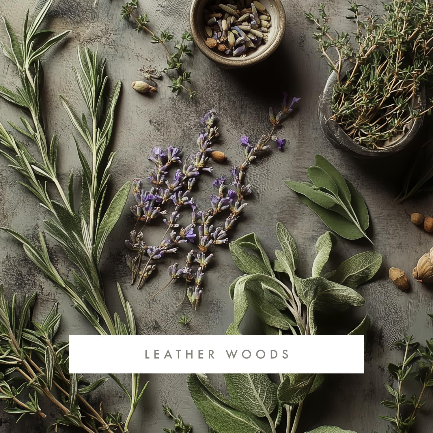 ScentAir Whisper Home Monthly Plug-in Refill, Fragrance Cartridge for Home and Office, Amazon Exclusive, Leather Woods