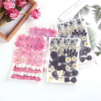 12 Types 48PCS Real Dried Pressed Flowers - Image 7