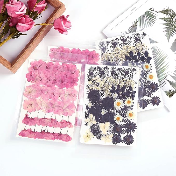 12 Types 48PCS Real Dried Pressed Flowers - Image 7