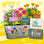 Dan&Darci Paint & Plant Flower Growing Kit - Image 5