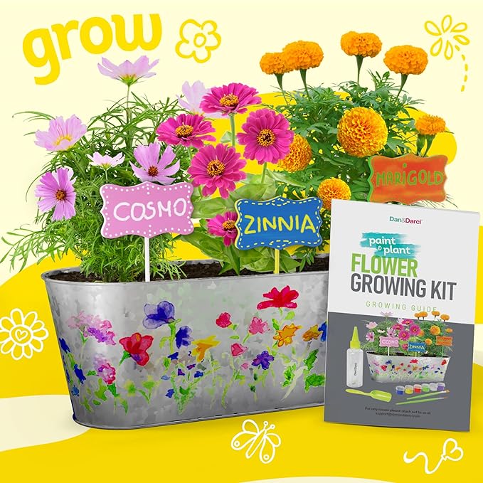 Dan&Darci Paint & Plant Flower Growing Kit - Image 5