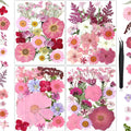 85Pcs Pink Dried Flowers for Crafts, Natural Pressed Flowers for Crafts Real by HLCYGJIN