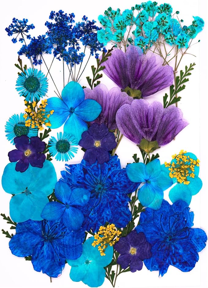 30Pcs Dried Pressed Flowers for Resin DIY Art Crafts Natural Dry Leaves Daisy by TopFunny