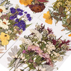 110 PCS Pressed Flowers with Twigs - Image 4