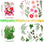 Nuanchu Dried Pressed Flowers for Crafts Resin Christmas Dried Flowers Bulk - Image 4