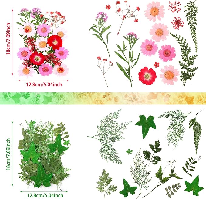 Nuanchu Dried Pressed Flowers for Crafts Resin Christmas Dried Flowers Bulk - Image 4