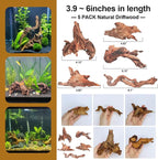 Natural Driftwood Decor for Aquarium Decorations Reptile Tank Accessories - Image 6