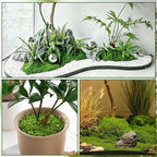 Fake Moss for Plants Indoor, 7OZ Dual-Color Artificial Moss for Crafts - Image 2