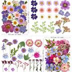 MIKIYA 91Pcs Purple Pressed Dried Flowers - Image 5