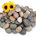 NUPICK 6lb Mexican Beach Pebbles, 2-3" Large River Rocks by CreateAmazingChoice