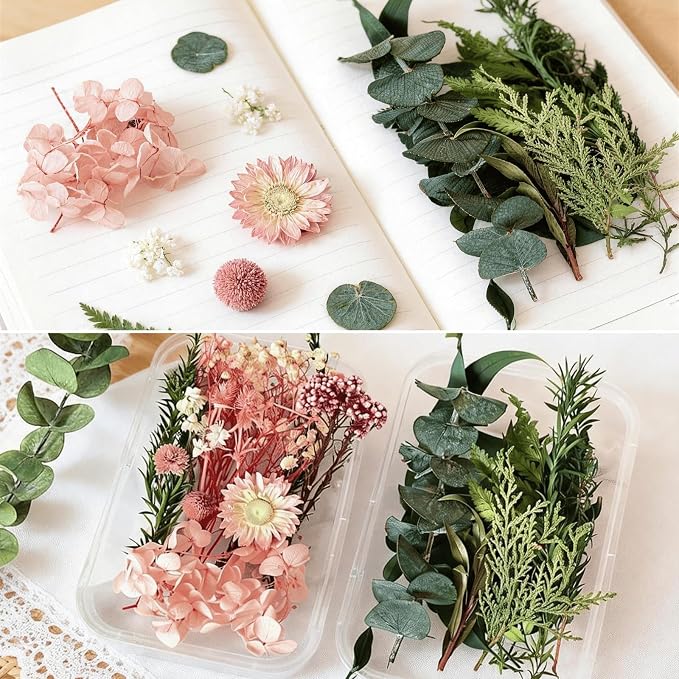 2PCS Dried Flowers Kit, Natural Dried Flowers Kit - Image 2