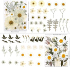 LUXEEASE 100P White Foliage Mix Dried Pressed Flowers | Blooms - Image 2