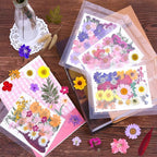 140 Pcs Dried Pressed Flowers for Resin, Real Pressed Flowers Dry Leaves Bulk - Image 7