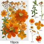 Woohome 4 Pack Dried Flowers for Resin Molds - Image 5