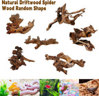 Hamiledyi Aquarium Driftwood 3PCS Natural Trunk Driftwood Assorted Branches - Image 6