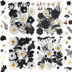 94 Pcs Black Pressed Dried Flowers by LUCISKY